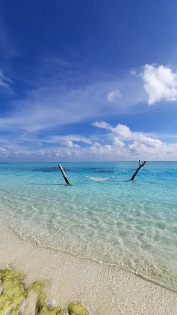 Hängematte im türkisfarbenen Wasser vor einem weißen Sandstrand unter blauem Himmel